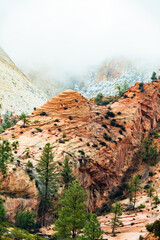 Poster - zion national park in the winter