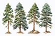 set of oil painted spruce trees isolated on white background, forest collection