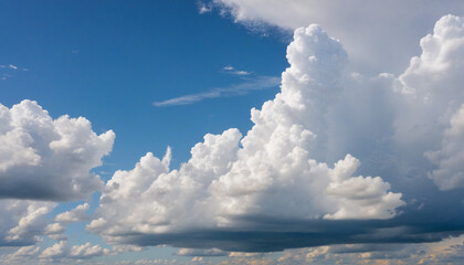 Wall Mural - overcast sky background
