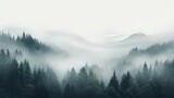 Fototapeta Las -  a forest filled with lots of green trees covered in a blanket of fog and smoggy skies with mountains in the distance.