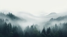  A Forest Filled With Lots Of Green Trees Covered In A Blanket Of Fog And Smoggy Skies With Mountains In The Distance.