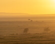 Sunset in the Mara