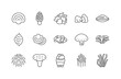 © chekiwart - Medicinal mushroom line icon set. Different types of mushroom vector illustration
