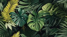  A Close Up Of A Bunch Of Green And Yellow Leaves On A Black Background With Yellow And Green Leaves On The Left Side Of The Image.