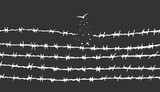 Fototapeta  - concept freedom, flight, breaking barriers, liberation, victory. barbed wire breaks and turns into a bird