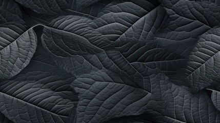 Wall Mural -  a close up view of a black background with a pattern of leaf like shapes in the center of the image.