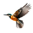 Kingfisher flying isolated on white, transparent backgrund
