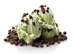 Pile of pistachio ice cream with choco chip topping in the photo on a white background