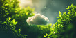 cloud in a green background, plants, forest, spring, ecology, environment