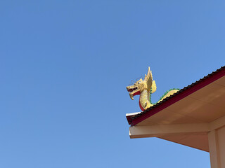 Wall Mural - chinese traditional dragon on roof