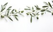 Olive fruit twig with year still green in photo on white background. generative AI