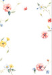 © HYOJEONG - watercolor-illustration-minimalist-frame-red-yellow-blue-white-flowers