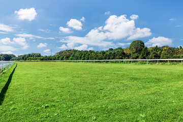 Wall Mural - Empty meadow and mountains with forest background