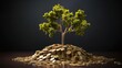 tree growing of accumulating wealth coin money investment overtime and building retirement or capital assets portfolio  