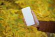 © splitov27 - Woman holding power bank against the background of autumn trees