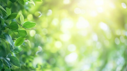 Wall Mural - Close up of beautiful nature view of green leaf on blurred greenery background in garden and sunlight with copy space using as background.
