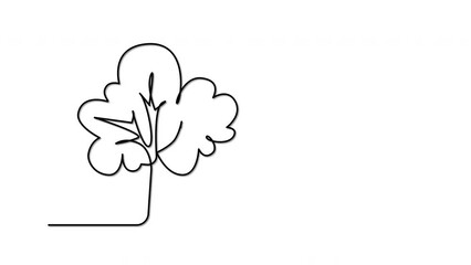 Wall Mural - Tree outline self drawing animation. Black line animated on white background.	
