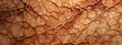 © Valerii - 3D Illustration of a Microscopic vision of biological tissue