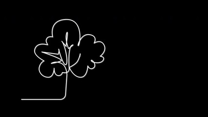 Wall Mural - Green Tree outline self drawing animation. White line animated on black background.