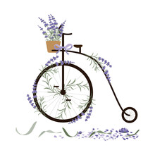 Vintage Penny Farthing Bicycle With Lavender Flowers As Decor. Thank You Card. Vector Illustration In Flat Style