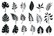 Set of tropical leaves silhouettes. Collection palm leaves. Jungle exotic leaves and botanical plants. Design illustration. Generative Ai