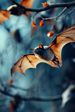 The Bat Flies In The Sky. Selective Focus.