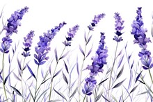 Watercolor Background Of Colorful Lavender Flowers