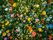 © Alexey - Assorted wildflowers from a top-down perspective. Vibrant nature background for design and print with copy space