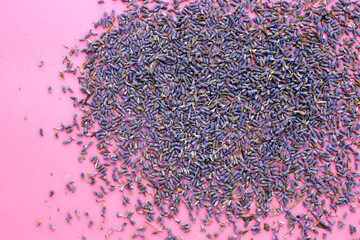 Wall Mural - Dried lavender buds for brewing a herbal tea