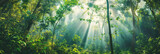 green tropical forest, Earth Day eco concept with tropical forest background, natural forestation preservation scene