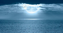 View Of Trumpeter Swans Flying - Night Sky With Blue Moon In The Clouds Over The Calm Blue Sea "Elements Of This Image Furnished By NASA"