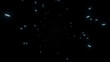 © Midnight Studio - Particle effects or space travel. Abstract star lights moving zoomed in on black background. Hyperspace zoom of different length lines effect.