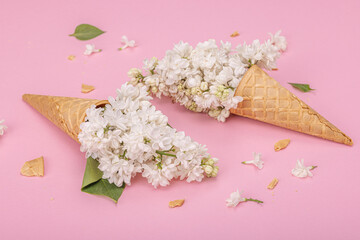  White lilac flowers in waffle ice cream cones on pink background. Flat lay, spring concept