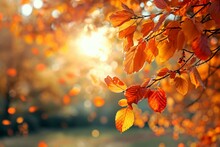 Autumn Colorful Bright Leaves Swinging In A Tree In Autumnal Park. Autumn Colorful Background, Fall Backdrop