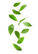 © New Africa - Fresh green tea leaves falling on white background