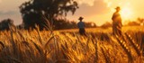 Fototapeta  - As the vibrant sunbeams caressed their faces, farmers stood tall amidst their bountiful wheat field, as the symphony of harvesting resonated.