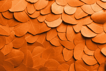 Wall Mural - Beautiful eucalyptus leaves as background, top view. Toned in orange