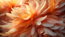 Close Up Of Beautiful Orange And Yellow Feathers Background. Soft Focus.
