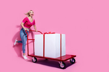 Wall Mural - Full size photo of satisfied woman dressed knit top denim pants run with large gift on trolley in empty space isolated on pink background