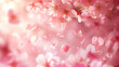 桜の花びらが舞う