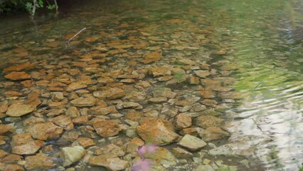 Wall Mural - Stones at the bottom of a mountain stream