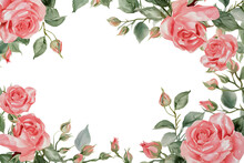 Watercolor Pink Rose Frame Isolated Over A Transparent Background.