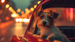 Terrier's Night Out. Small terrier dog peeking from a car on a city street at night, illuminated by streetlights.