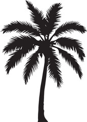 Canvas Print - Tropical palm trees with leaves and black silhouettes isolated on a white background. Vector