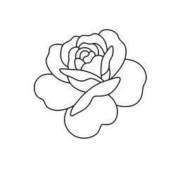 Wall Mural - vector isolated one single simple rose bud flower colorless black and white contour line easy drawin
