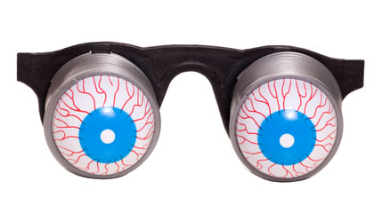 Boggle eye glasses fancy dress