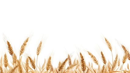 Wall Mural - wheat field cut out. field of wheat on transparent background