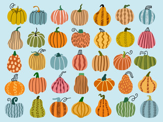 Wall Mural - Pumpkin vector hand drawn illustration set	