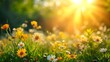 © olegganko - spring natural nackground with flowers, sun burnst and copy space