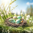 Bird Nest Filled With Eggs on Lush Green Field